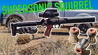Supersonic Exploding Squirrel Smackin! - Edgun ReprX 25. CAL