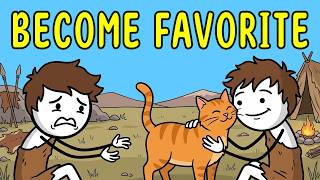 How Cats Choose Their Favorite Person