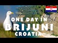 One day in Brijuni National Park, Croatia