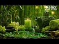 Deep Sleep Calm Music 🌙 Relaxation Sounds for Insomnia Relief and Stress Healing Rest Tonight