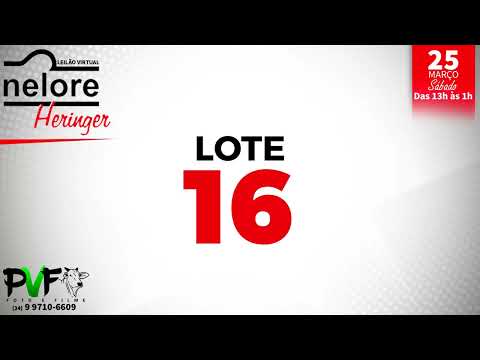 LOTE 16