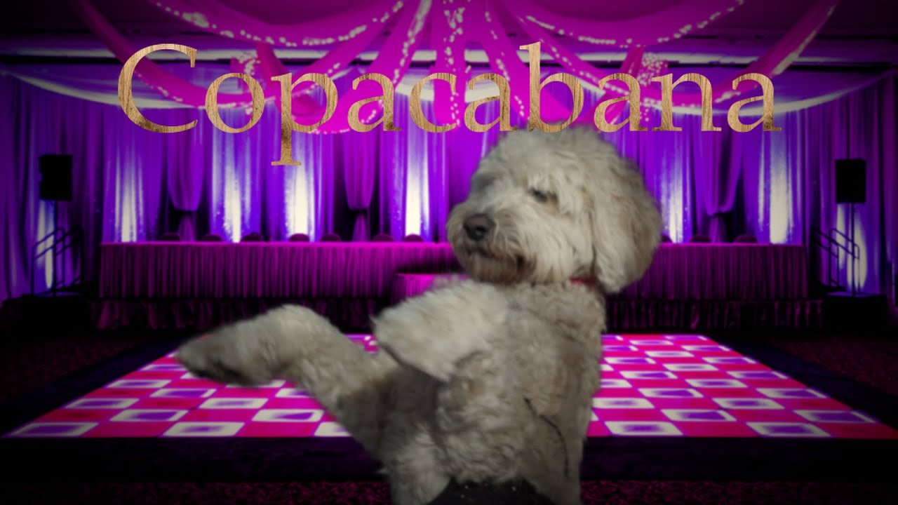The Worst Copacabana music video ever made