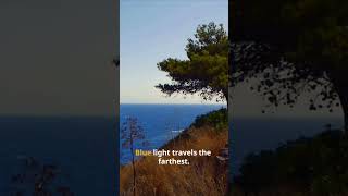 🌊 Your Eyes Lied About Ocean Color 🤯