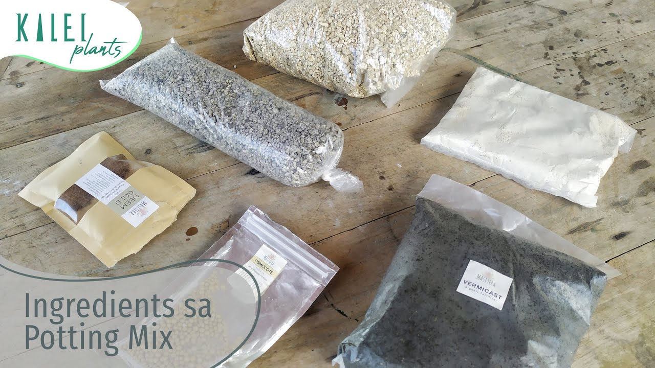 Basic Ingredients ng Potting Mix sa Succulents