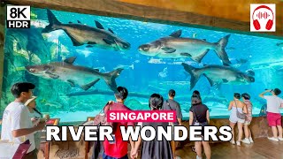 River Wonders Singapore Tour | Singapore City From Different Perspective 🇸🇬🐟🐠