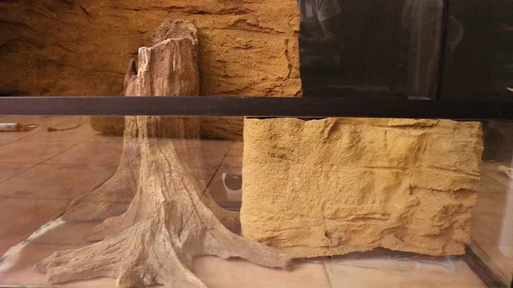 EPIC PALUDARIUM BUILD (Part 1)