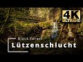 Lützenschlucht | Black Forest | Schwarzwald | Wildberg |  The Beauty of Nature | 4K Ultra HD