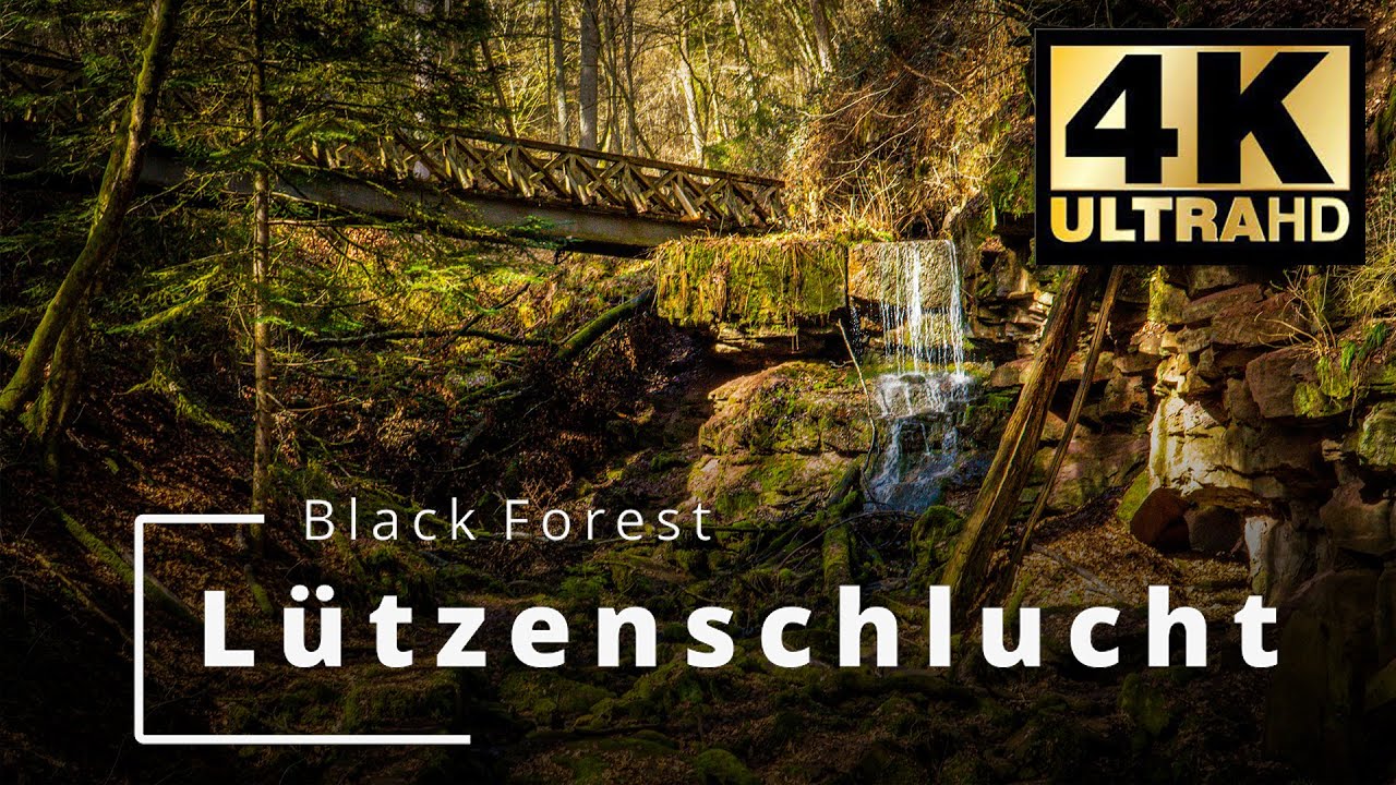 Lützenschlucht | Black Forest | Schwarzwald | Wildberg |  The Beauty of Nature | 4K Ultra HD