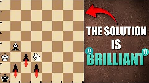 Can You Stop The Pawns?????