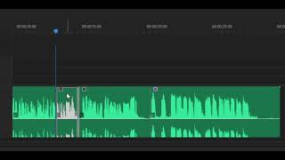 Chipmunk Voice - Tutorial Premiere Pro screenshot 2