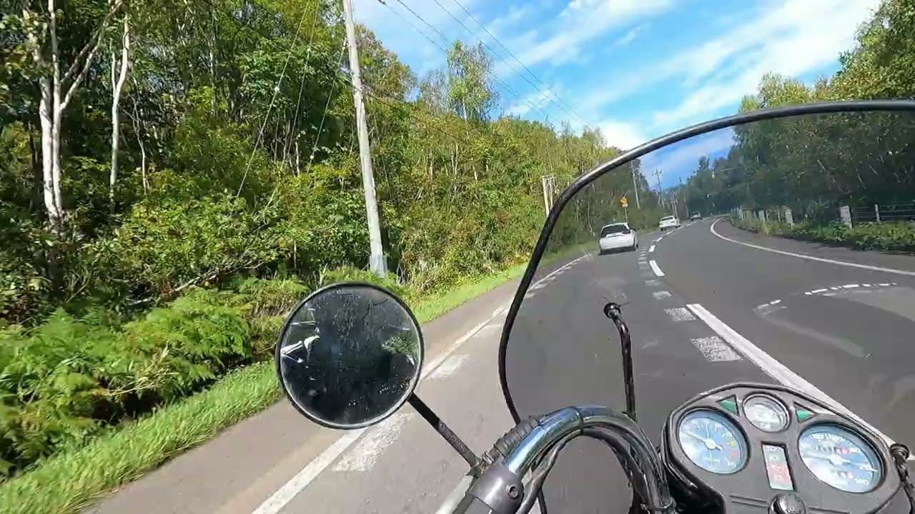 Riding on a sunny autumn day - Moto Guzzi California II