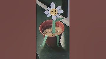 Thumbnail of Grow a Daisy with Me