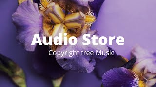 Winter Magic – Roa · (No Copyright Music)