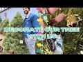 Decorate Our Tree With Us | Tree Farm Visit &amp; Special Ornaments 🎄