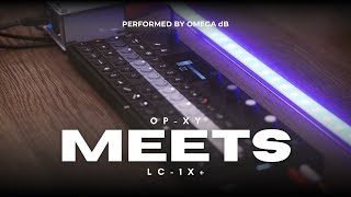 OP-XY Meets LC-1X+: Synesthesia | OMEGA dB