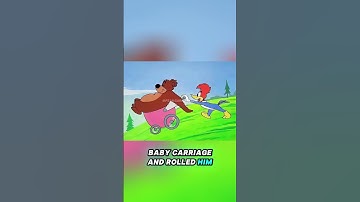 Weet jij hoe beren een winterslaap houden?