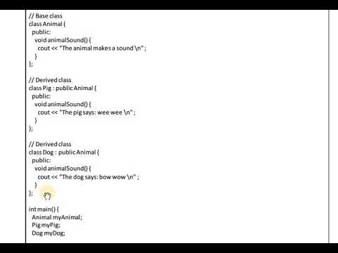 Practical 7