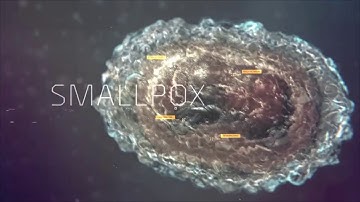 Virus Progress Report 3 Video in Tom Clancy