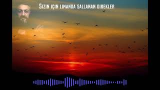 Burak Arslan - Sizin İçin - Kuşların Vurulduğu Zaman