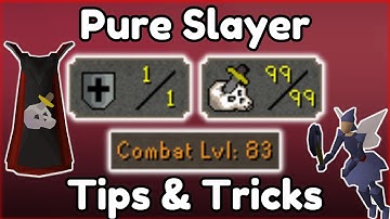 1 Def Pure Slayer | 30 Tips & Tricks