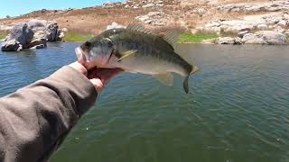 Bass Fishing, Fresno, CA ( Eastman Lake)
