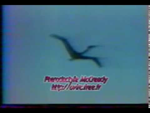 Paul MacCready pterosaur Quetzalcoatlus Northropi QN RC ornithopter