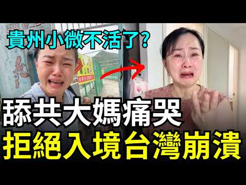 舉報成功!舔共大媽崩潰,永遠不能入境台灣,貴州小微覺醒,舉報北京中央?在中國快沒錢生活了,補助金全被貪走了