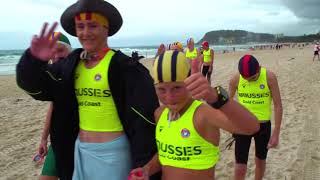 The Aussies 2019 highlights