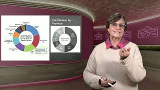 5.1 ECONOMIC GEOGRAPHY OF SOUTH AFRICA - STRUCTURE OF THE ECONOMY