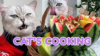 抖音 Cat Baking Compilation デザートレシピ Pets Cooking