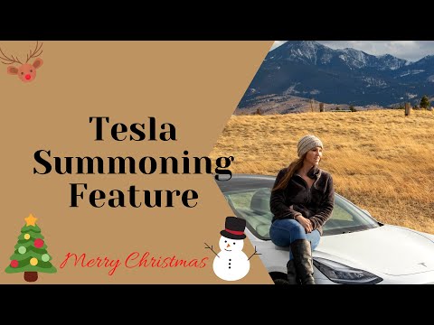 Tesla Summoning Feature