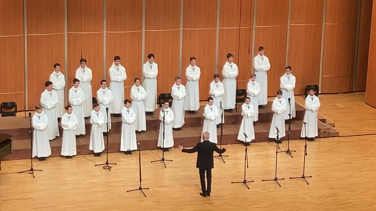 [걱정말아요 그대] 2025 파리나무십자가 소년합창단 대구 공연 앵콜곡 