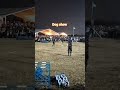 Dog show in Air force show 2026