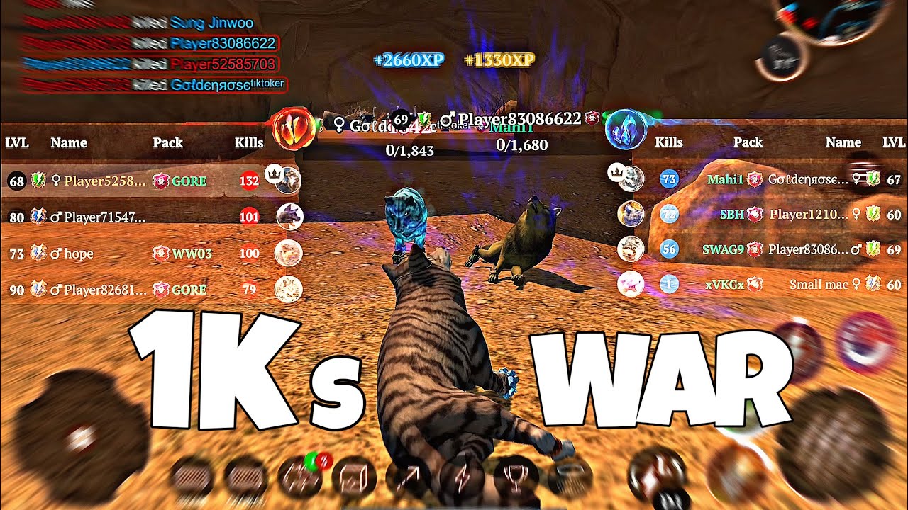 Starting a 1k WAR in 0-2.4m rooms!!! || the wolf pvp 1K SERIES