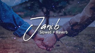 Janib - Lofi (Slowed   Reverb) | Arijit Singh ft Shunidi Chouhan | We R Lofi Here