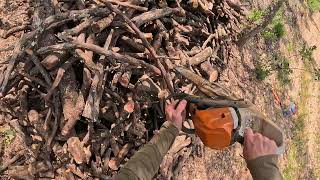 Making Firewood With Stihl Ms 362 C