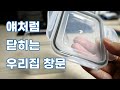 독일창 미국창 한국창 [ep.10] 골조 후 창호설치 및 기밀 테이핑