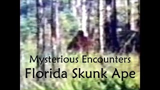 Mysterious Encounters (E1) Florida Skunk Ape (2003)