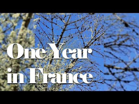 One year living in France | What it has been like in Occitanie