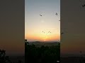 12 Seconds of Pure Peace 😌🌍3️⃣ This Is Why