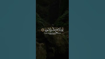 اكتب شي تؤجر عليه ♡✨️ | القارئ إسلام صبحي | قرآن كريم