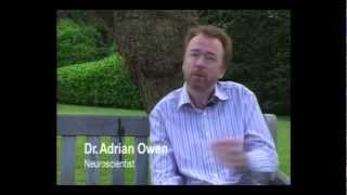 Window On The Brain - Vegetative State