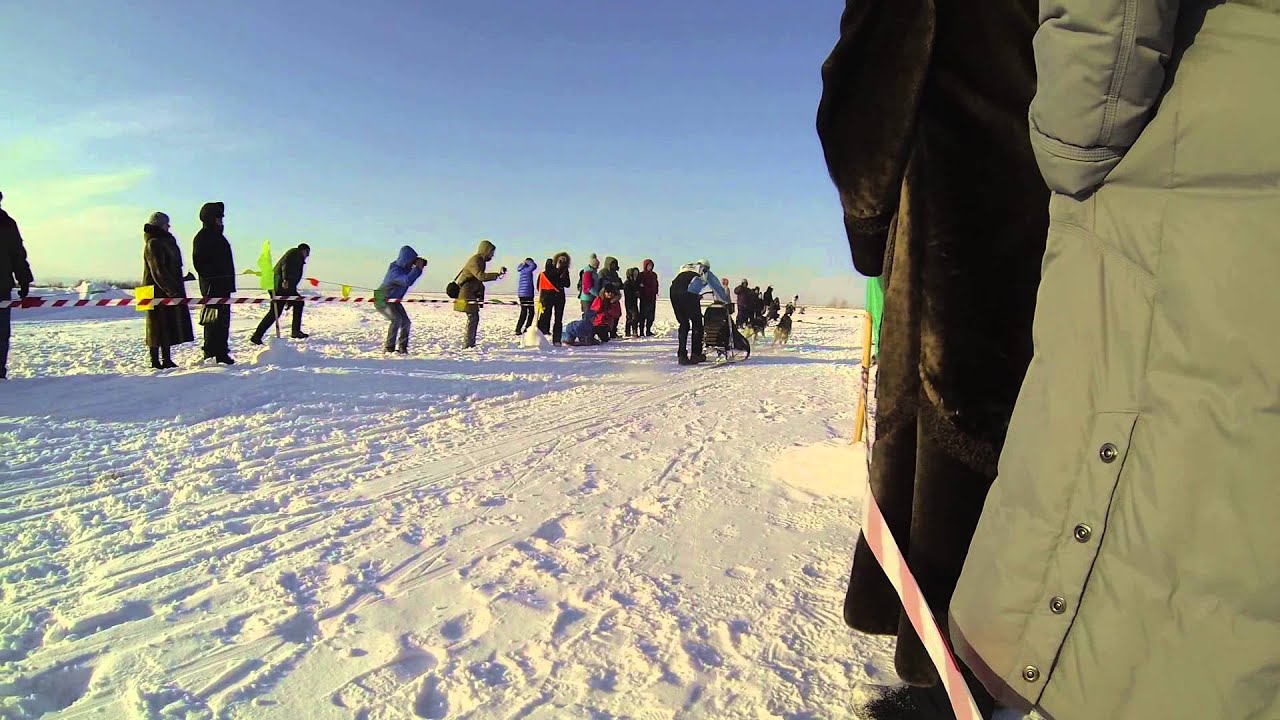 2ки Тимонин