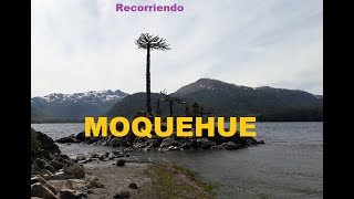 Moquehue y Villa Pehuenia | Driving Tour | Patagonia