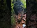 Claustrofobia en la selva 😲 Angosto de Jaire 💚 Jujuy 😍  #jujuy #argentina  #nature  #visitargentina