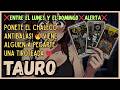 TAURO♉GRAN CAMBIO! ESTA PERSONA TE AMA Y ESTA MUY SEGURA DE ESTAR CONTIGO🤩❤️MIRA LO QUE HARA POR TI🔥