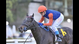 Clásico Chacabuco 2023 - Mikonos Beach - Hipódromo de Palermo