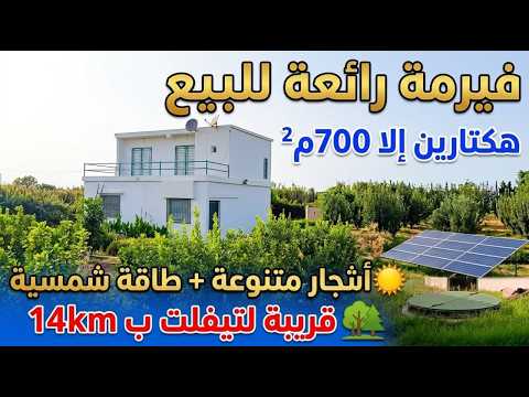 فيرمة للبيع, هكتارين إلا 700م², أشجار متنوعة + منزل + بئر+ سقي بالتنقيط ,قرب تيفلت 14 كم, 270 مليون