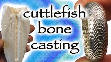 cuttlefish bone casting a silver ring (simple but smelly)