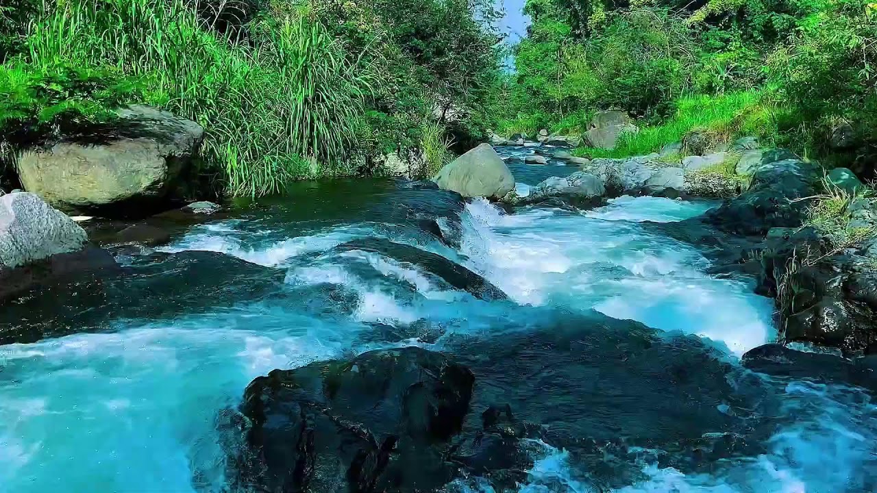 Flowing Mountain Stream Sounds, Forest River Calm Water, Sleep